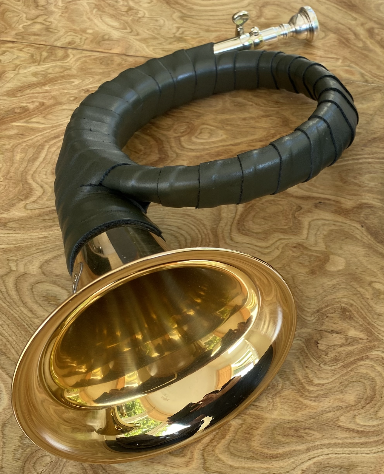 Fürst-Pless-Horn