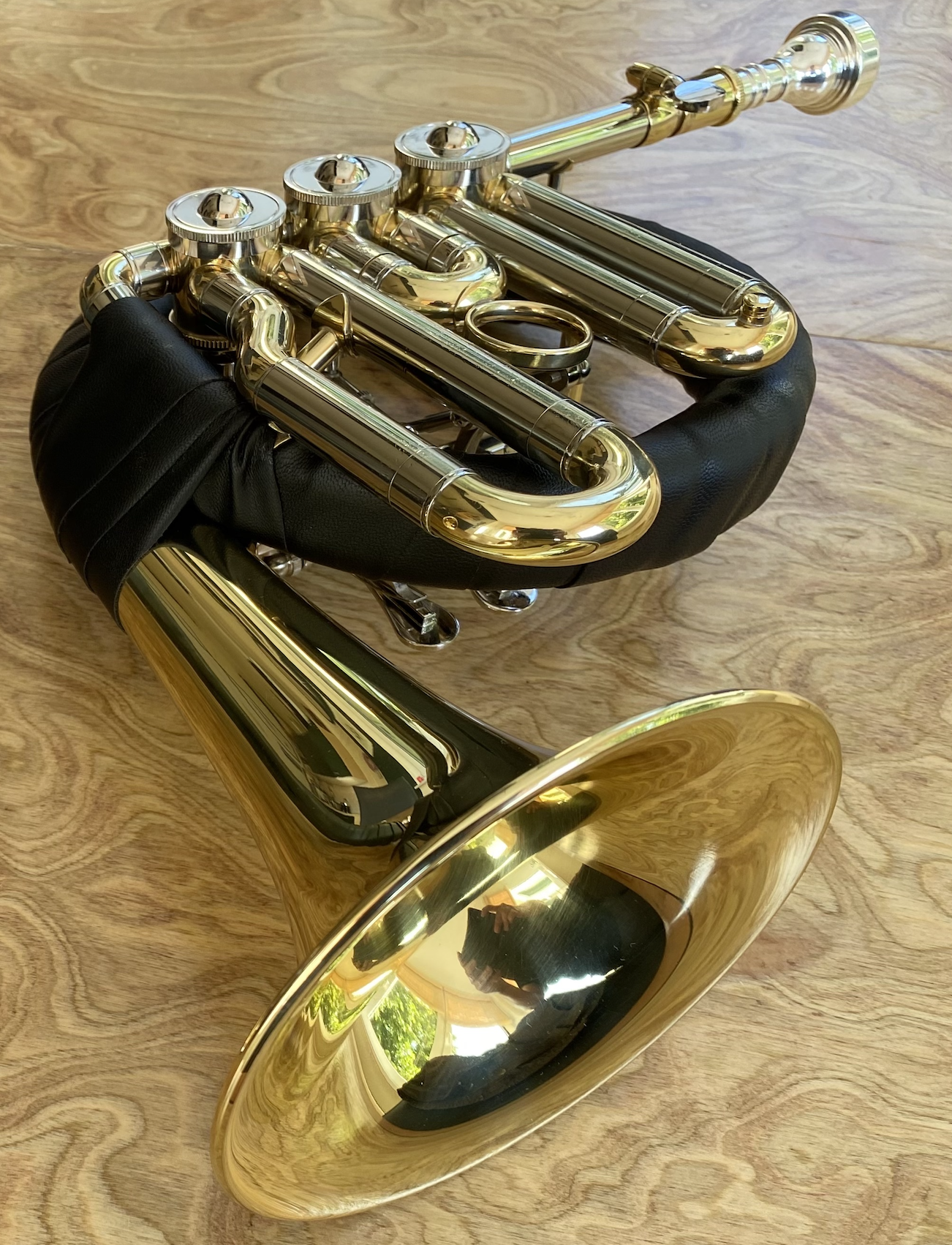 Ventilhorn